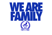 Load image into Gallery viewer, Victory Academy Custom Glitter or Color Hoodie or Shirt ( Logo white )